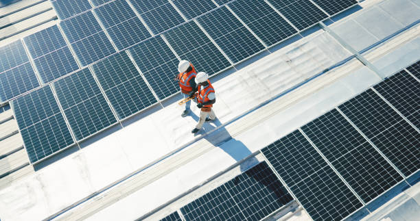 Best Roof Coating and Sealing  in Cactus, TX